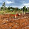 0.05 ha Residential Land in Kamangu thumb 10