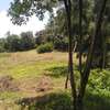 500 m² Residential Land in Ngong thumb 1