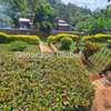 4 Bed House with En Suite at Thigiri thumb 11