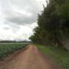 60 acres Land Muramati thumb 3