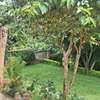 5 Bed House with En Suite in Nyari thumb 22