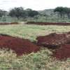 Residential Land in Ngong thumb 0