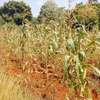 Itabua Nduba 1acre thumb 2