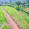 0.05 ha Residential Land at Migumoini thumb 6