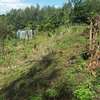 Lovely Quarter ( 1 / 4 ) Acre Land in Ngong thumb 3