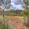 0.05 ha Residential Land in Kamangu thumb 11
