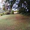 1.1-Acre Plot For Sale in Kyuna thumb 1