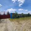 Ostrich farm plots on sale in Kitengela thumb 0