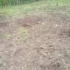 0.113 ac Land in Ngong thumb 9