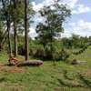 Land at Roysambu thumb 6
