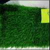 ARTIFICIAL GRASS CARPET thumb 8