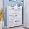 Modern Shoe Storage Cabinet thumb 1