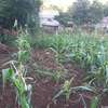 Beautiful one eighth plots in Ngong thumb 8