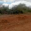 218 Acres Touching Galana River In Kilifi Is For Sale thumb 2