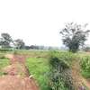 Residential Land at Kitisuru Ridge 44 thumb 35
