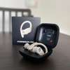 Beats by Dre Powerbeats Pro True Wireless Earbuds thumb 2