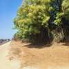 3 ac Land in Malindi thumb 5