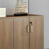 Office Cabinet: 2-Door Credenza Cupboard thumb 1