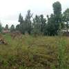 land for sale in Ngata thumb 0
