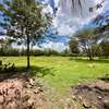 5 ac Land in Karen thumb 1