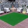 fine grass carpet ideas for your compound and indoors thumb 0