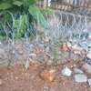 razor wire in kenya in kenya ruiru, thika rongai thumb 12