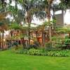 Nairobi Gardeners - Garden Care in Nairobi thumb 2
