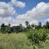 Commercial Land in Malindi thumb 9