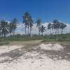20 Acres Of Beach Land In Kikambala Kilifi Is For Sale thumb 1
