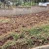0.125 ac Land in Ruaka thumb 1