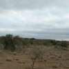 Land For Sale Kajiado- Namanga thumb 2
