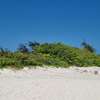 50 ac Land at Kilifi thumb 20