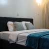 Furnished 3 Bed Apartment with Swimming Pool in Riverside thumb 2