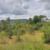 Prime Fertile Land in Ithanga, Murang'a, Near Kakuzi thumb 2