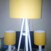 lampshades that are lasting and beautiful. thumb 3