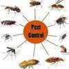 pest control and fumigation thumb 2
