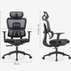 Office Chair: High Back Orthopedic Lumbar Support Chair thumb 1