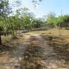 1 ac Commercial Land at Diani thumb 3