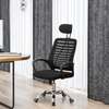 Executive Ergonomic Mesh Office Chair–Adjustable Headrest thumb 1