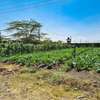 0.045 ha Residential Land at Kitengela thumb 5