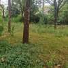 4 ac land for sale in Kilimani thumb 12