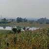 Land at Riabai -Githunguri Road 3Km From Kirigiti thumb 15