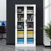 Office Cabinet:  Full Glass Steel Vertical Filing Cabinet thumb 0