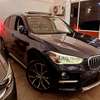 BMW X1 Blue 2018  20i thumb 0