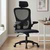 Executive Chairs : High-back Ergonomic Office Chair thumb 0