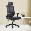 Office Chairs: Mesh Orthopedic Task Chair With Headrest thumb 3