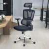 Office Chair: Ergonomic Mesh High Back Chair For Rest thumb 5