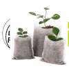 Biodegradable Planting/Nursery Bags thumb 0