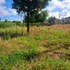 Mtwapa garden 1/2 acre plot thumb 6