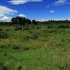 5,000 m² Land at Nanyuki Mount Kenya View thumb 5
